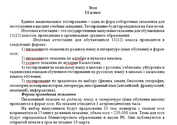 Эссе 11  класс